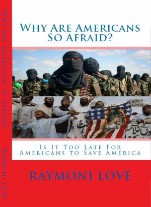 Cover of the book Why Are Americans So Afraid? by Riens Vosloo, Henk Viljoen, Belinda Prinsloo, Heleen Stevens