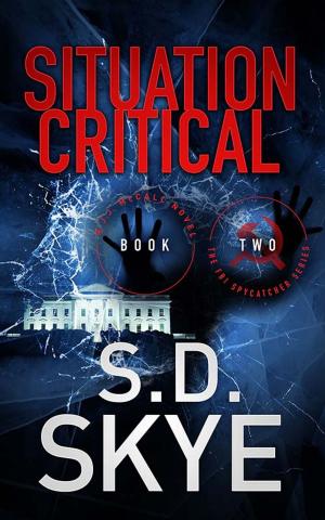 Cover of the book Situation Critical by Wes Raley