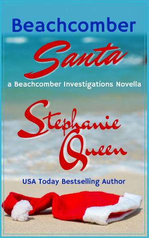 Cover of the book Beachcomber Santa by Cindy Skaggs