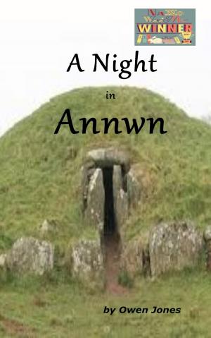 Cover of the book A Night in Annwn by H. Claire Taylor