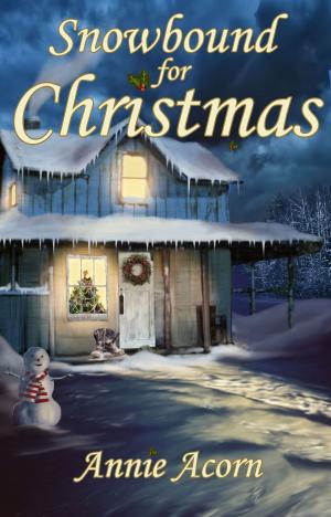 Cover of the book Snowbound for Christmas by Roger Liles