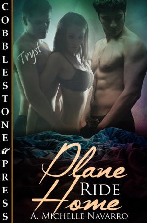 Cover of the book Plane Ride Home by Anna Leigh Keaton