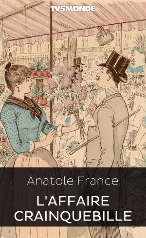 Cover of the book L’Affaire Crainquebille by Alphonse Daudet, Ligaran