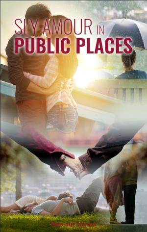 Cover of the book Sly Amour in PUBLIC PLACES by Sidhartha Rastogi