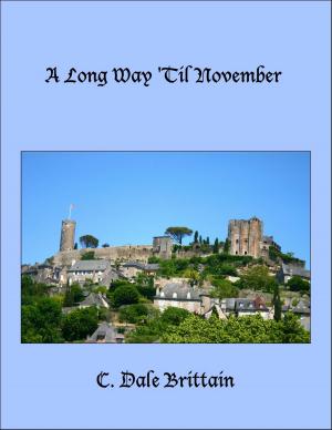 Cover of the book A Long Way 'Til November by Louise James