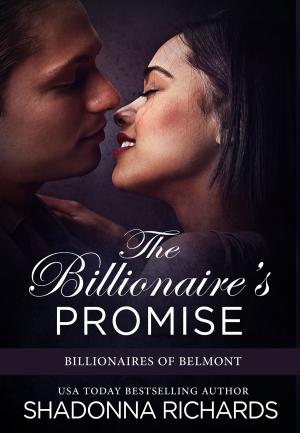Cover of the book The Billionaire's Promise by Adrian Anderson