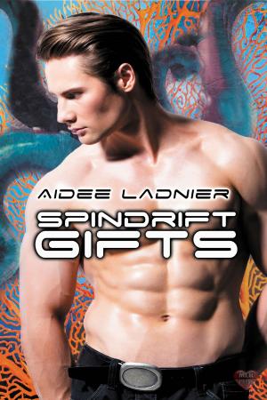 Cover of the book Spindrift Gifts by T.A. Chase