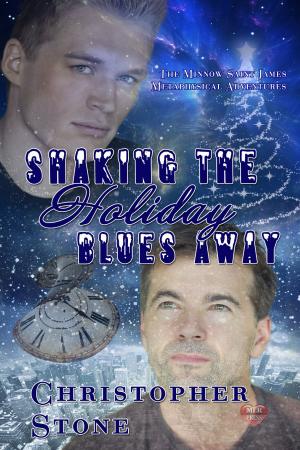 Cover of the book Shaking the Holiday Blues Away by Lynn Lorenz