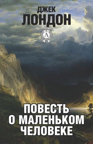 Cover of the book Повесть о маленьком человеке by Александр Грин