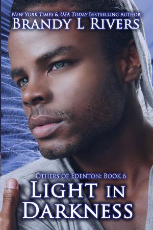 Cover of the book Light in Darkness by Glynn Young