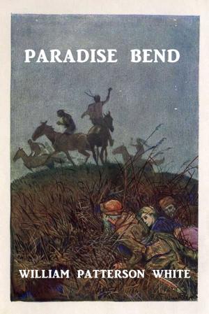 Cover of the book Paradise Bend by Vivek Pereira