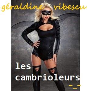 Cover of Les cambrioleurs
