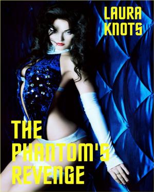Cover of the book The Phantom's Revenge by Talia Cummings