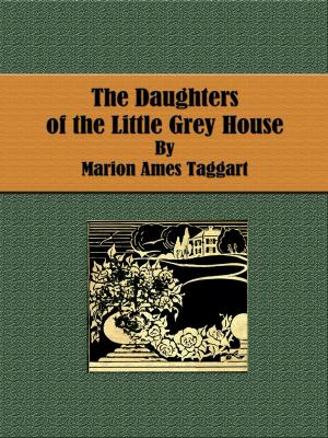 Cover of the book The Daughters of the Little Grey House by Джулиан Барнс