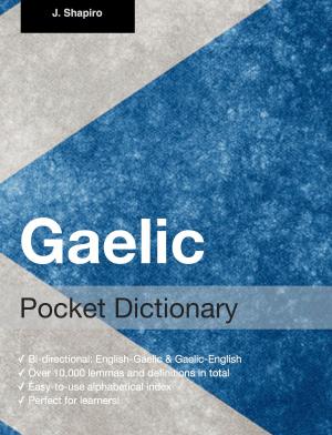 Cover of the book Gaelic Pocket Dictionary by J. Schmidt