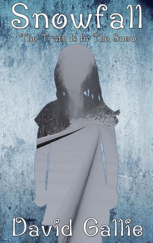 Cover of the book Snowfall by T.A. Webb
