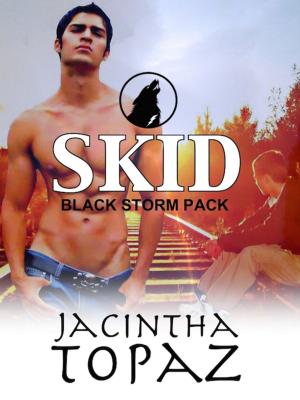 Cover of the book Skid by Sher Jackson