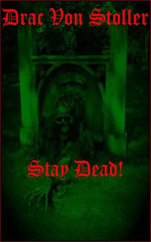 bigCover of the book Stay Dead by 