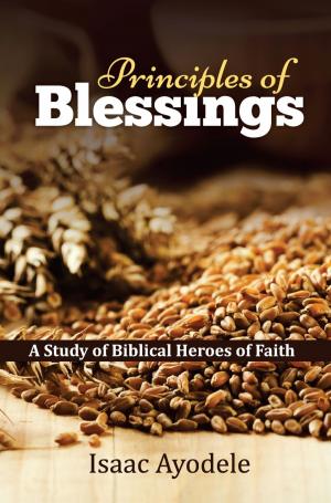 Cover of the book Principles of Blessings by Virág Wheeler-Mezei