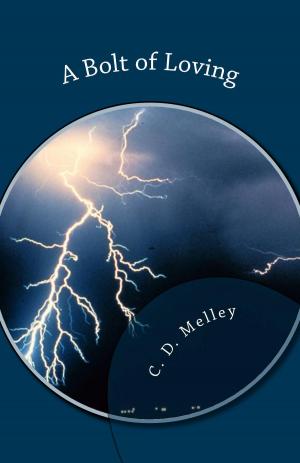 Cover of A Bolt of Loving