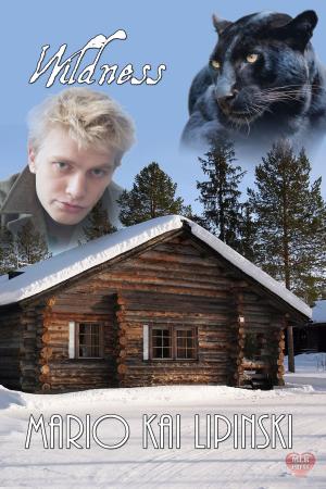 Cover of the book Wildness by Shawn Bailey