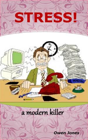 Cover of the book Stress – A Modern Killer by Felix Schröder, Nina Weber