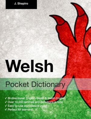 Cover of Welsh Pocket Dictionary