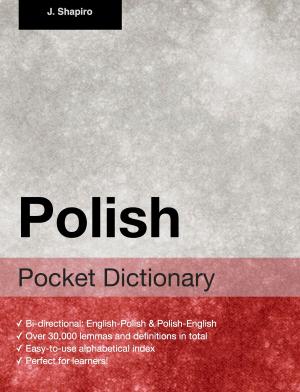 Cover of the book Polish Pocket Dictionary by J. Schmidt
