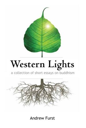 Cover of the book Western Lights by Katie May
