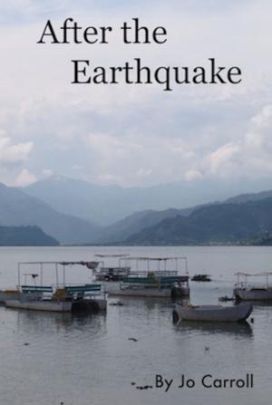 Book cover of After the Earthquake