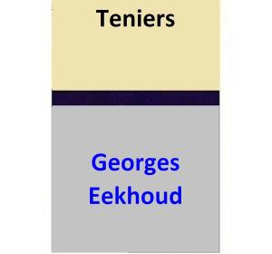 Book cover of Teniers