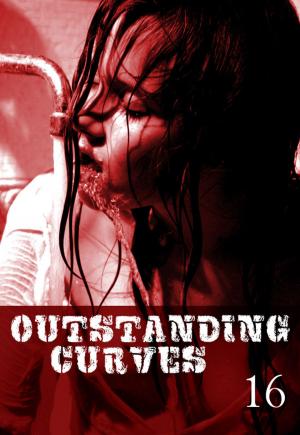 Cover of the book Outstanding Curves Volume 16 - A sexy photo book by Abigail Ramsden
