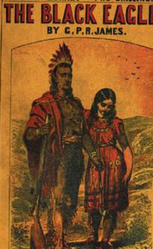Cover of the book The Black Eagle Illustrated by R.E.H. Dyer