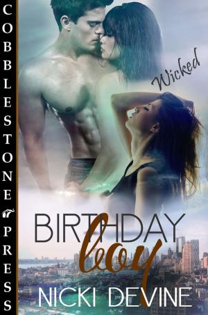 Cover of the book Birthday Boy by Deanna Lee