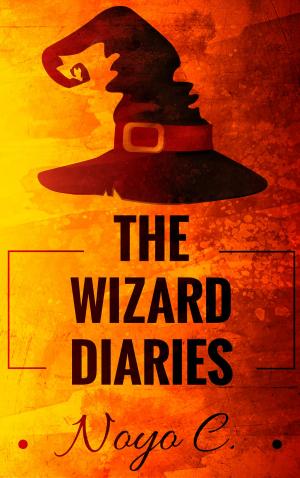 Cover of the book The Wizard Diaries: Books for Kids by Barbara Mcmahon