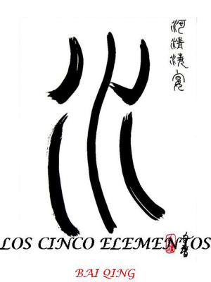 Book cover of CINCO ELEMENTOS