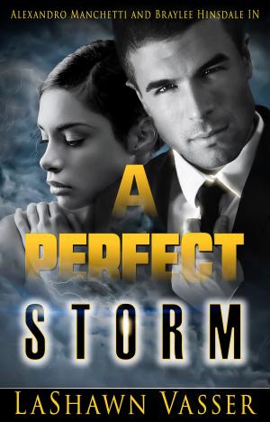 bigCover of the book A Perfect Storm by 