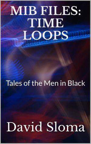 Cover of the book MIB Files: Time Loops by D.W. Patterson