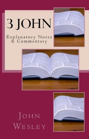 Cover of the book 3 John by James Hargreaves, Charles Wesley