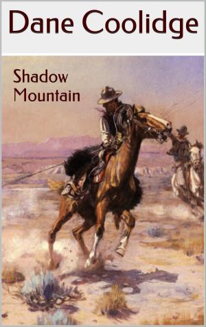 Cover of the book Shadow Mountain by Darragh Metzger