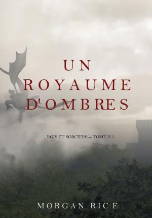 Cover of Un Royaume D'ombres (Rois et Sorciers -- Tome n 5)
