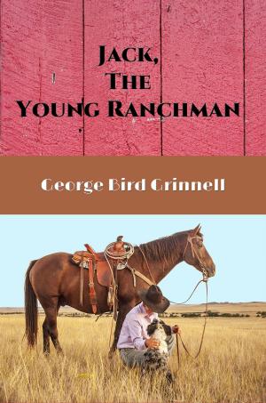 Book cover of Jack, The Young Ranchman (Illustrated)