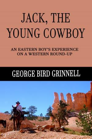 Book cover of Jack, The Young Cowboy (Illustrated Edition)