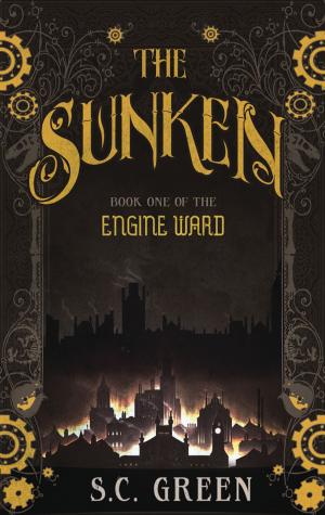Book cover of The Sunken