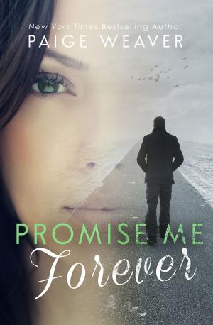 Cover of the book Promise Me Forever by Lorena McCourtney
