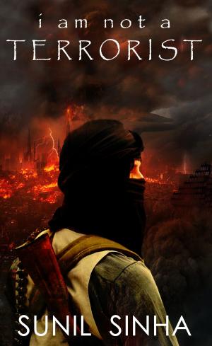 Cover of the book I am not a Terrorist by Kristin Jacques