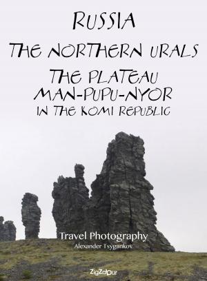 Cover of the book Russia. The Northern Urals. The plateau Man-Pupu-Nyor in the Komi Republic by Vladimir Batalov