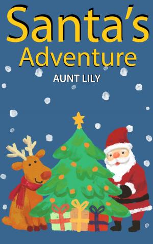 Book cover of Santa’s Adventure