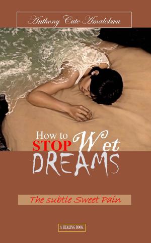 Book cover of how to stop wet dreams