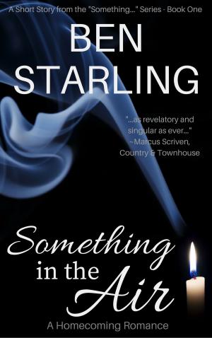 Cover of the book Something in the Air by Raine Miller